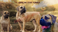 African Star Yunika Setcard